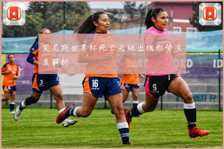 突尼斯世界杯死亡之组出线形势深度解析